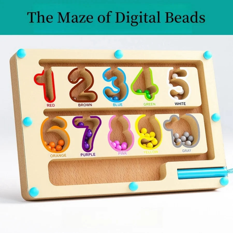 Magnetic Bead Maze