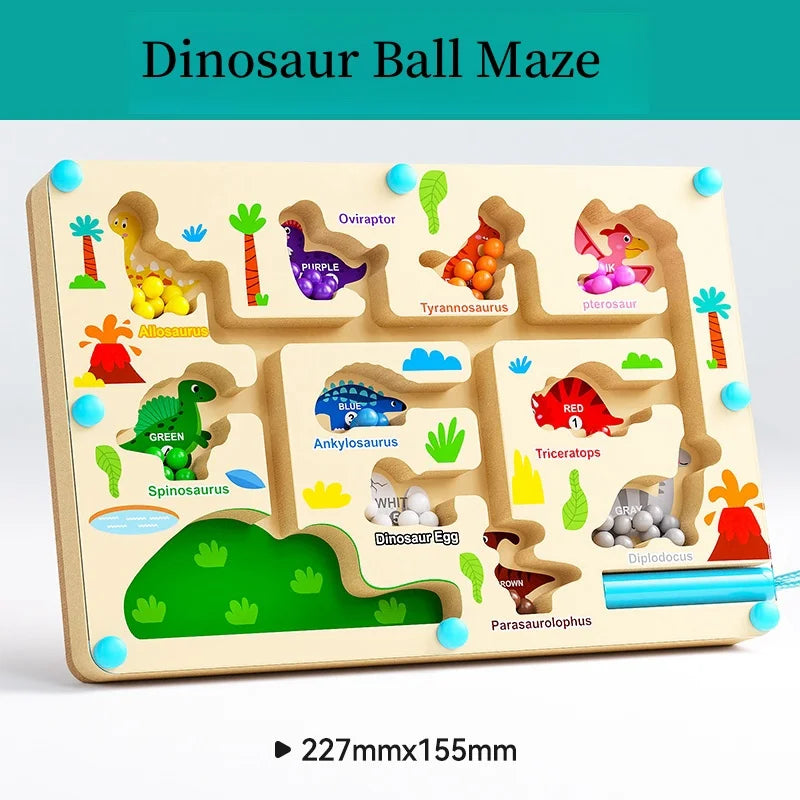 Magnetic Bead Maze